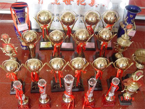 2010年齐鲁武校业绩一览表