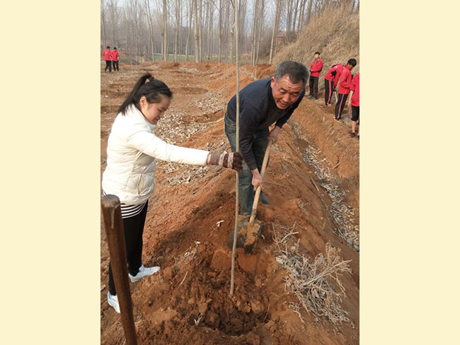 植树节-------绿化环境，从我做起