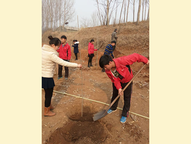 植树节-------绿化环境，从我做起