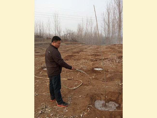 植树节-------绿化环境，从我做起