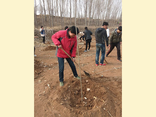 植树节-------绿化环境，从我做起