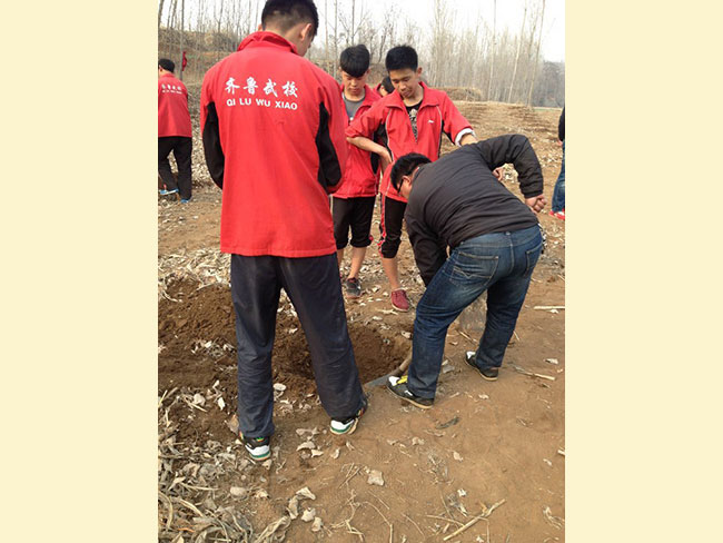 植树节-------绿化环境，从我做起