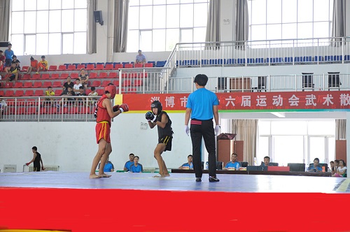 2013年淄博市第十六届散打比赛